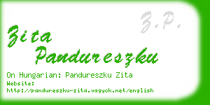 zita pandureszku business card